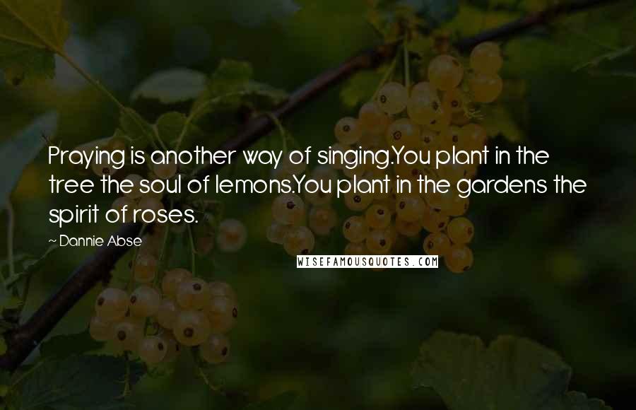 Dannie Abse Quotes: Praying is another way of singing.You plant in the tree the soul of lemons.You plant in the gardens the spirit of roses.