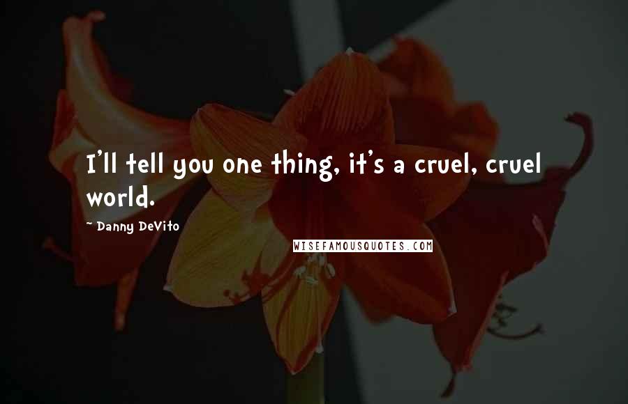 Danny DeVito Quotes: I'll tell you one thing, it's a cruel, cruel world.