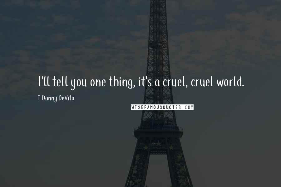 Danny DeVito Quotes: I'll tell you one thing, it's a cruel, cruel world.