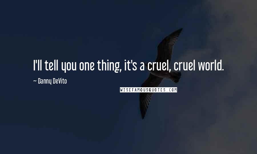 Danny DeVito Quotes: I'll tell you one thing, it's a cruel, cruel world.