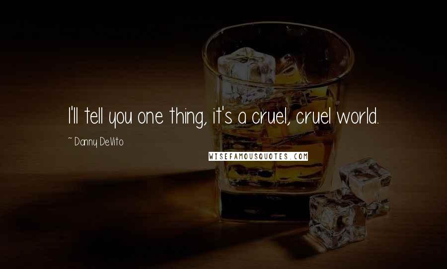 Danny DeVito Quotes: I'll tell you one thing, it's a cruel, cruel world.