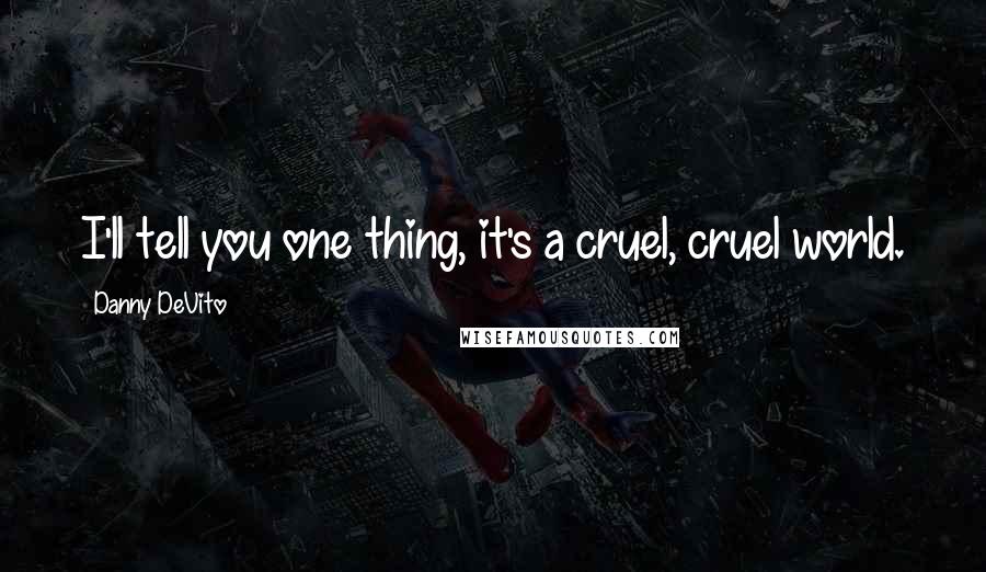 Danny DeVito Quotes: I'll tell you one thing, it's a cruel, cruel world.