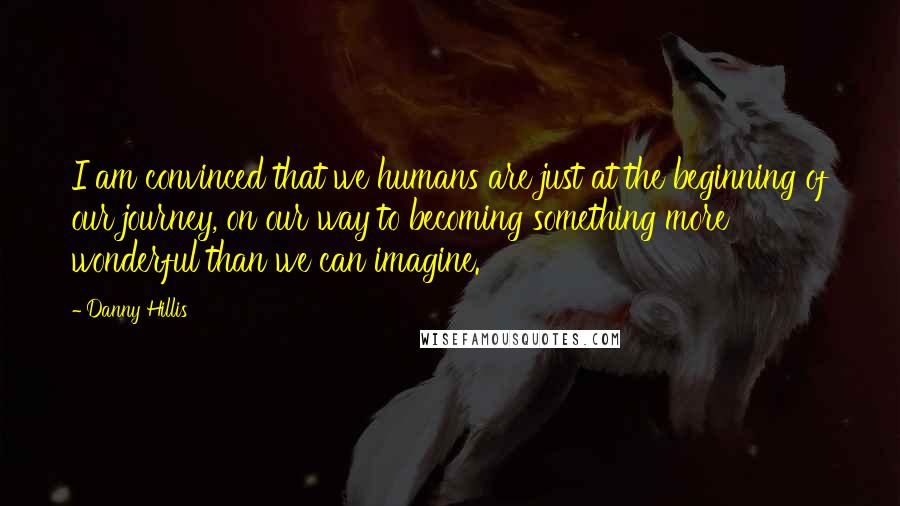 Danny Hillis Quotes: I am convinced that we humans are just at the beginning of our journey, on our way to becoming something more wonderful than we can imagine.