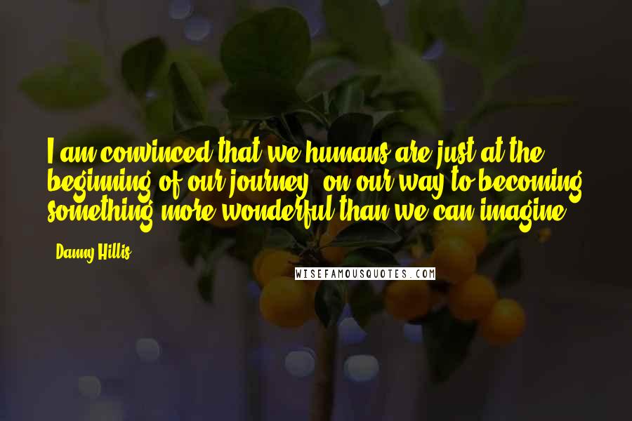 Danny Hillis Quotes: I am convinced that we humans are just at the beginning of our journey, on our way to becoming something more wonderful than we can imagine.