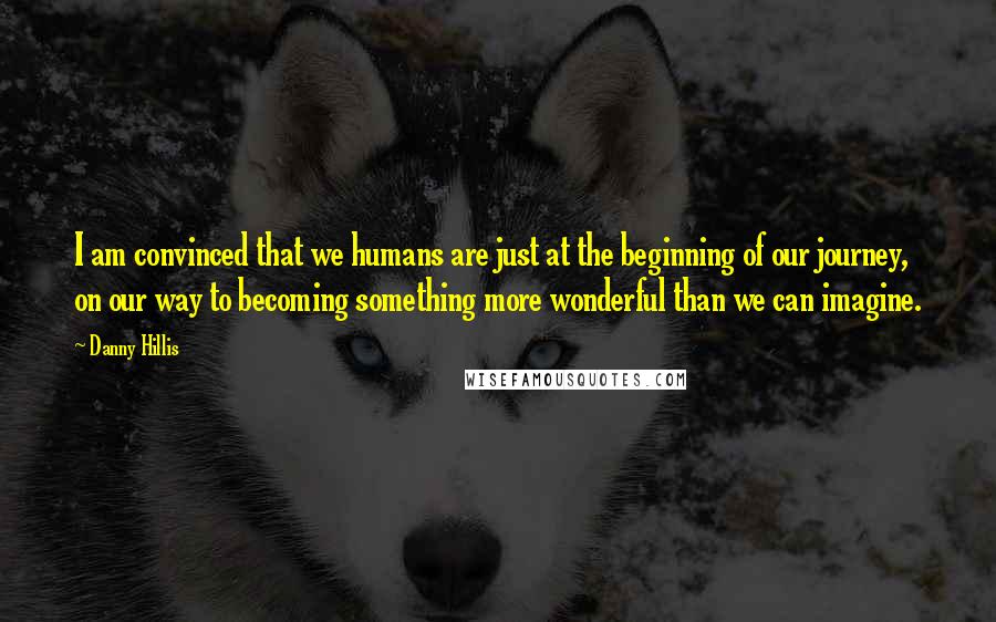 Danny Hillis Quotes: I am convinced that we humans are just at the beginning of our journey, on our way to becoming something more wonderful than we can imagine.