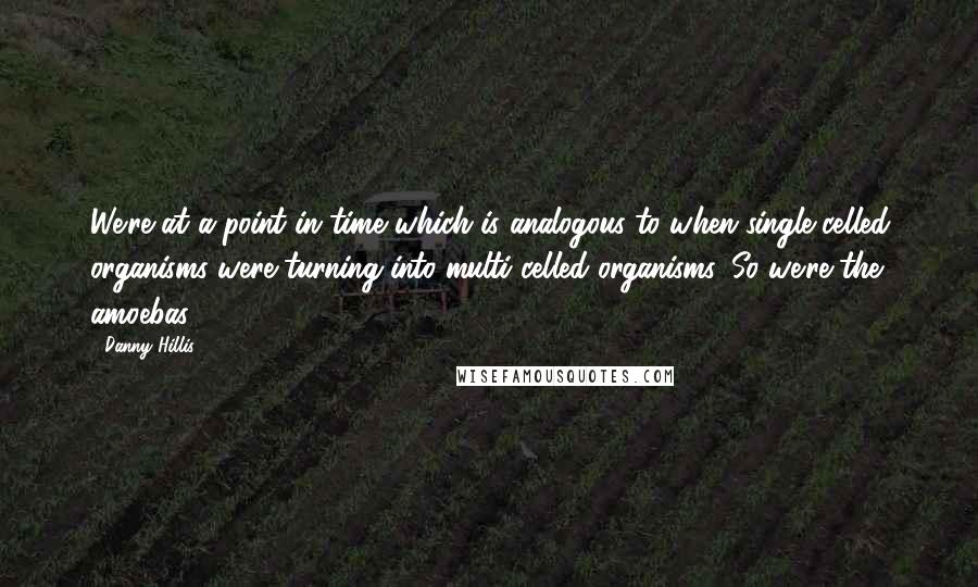 Danny Hillis Quotes: We're at a point in time which is analogous to when single-celled organisms were turning into multi-celled organisms. So we're the amoebas.