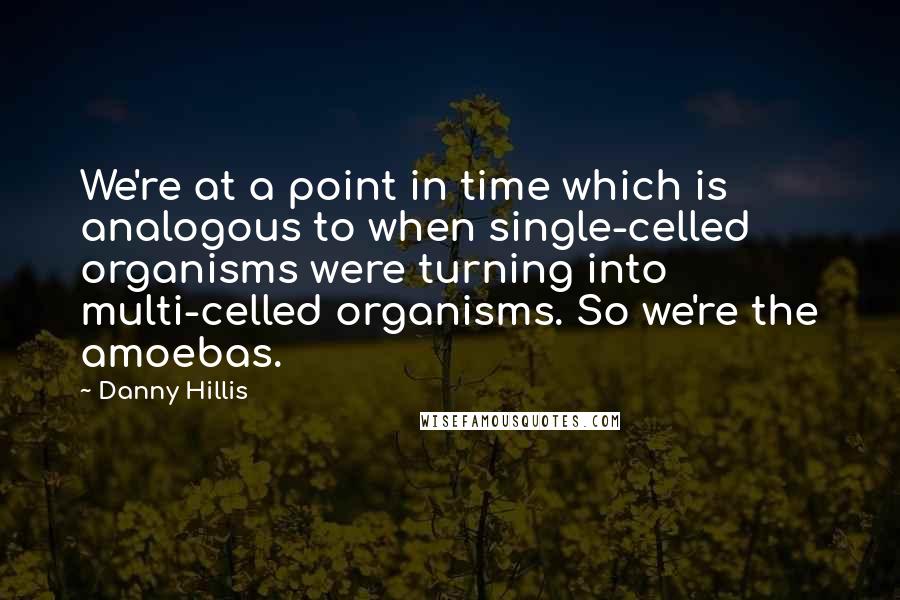 Danny Hillis Quotes: We're at a point in time which is analogous to when single-celled organisms were turning into multi-celled organisms. So we're the amoebas.