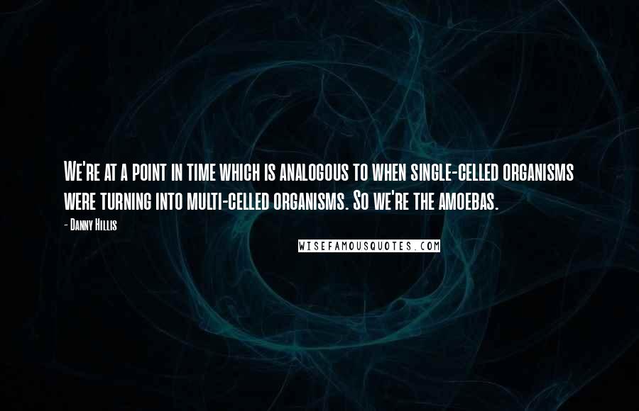 Danny Hillis Quotes: We're at a point in time which is analogous to when single-celled organisms were turning into multi-celled organisms. So we're the amoebas.