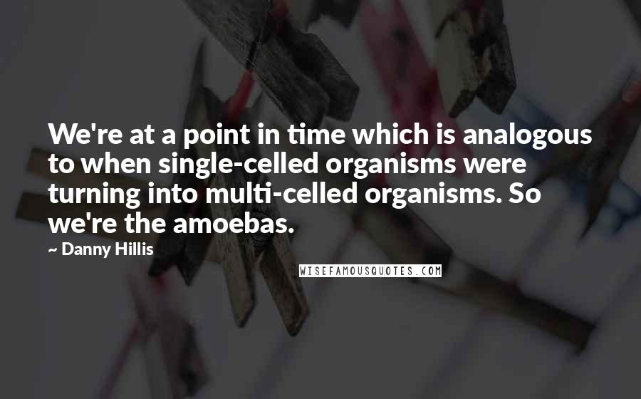 Danny Hillis Quotes: We're at a point in time which is analogous to when single-celled organisms were turning into multi-celled organisms. So we're the amoebas.