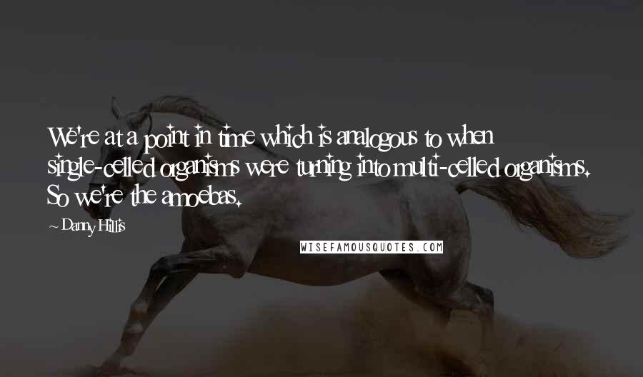 Danny Hillis Quotes: We're at a point in time which is analogous to when single-celled organisms were turning into multi-celled organisms. So we're the amoebas.
