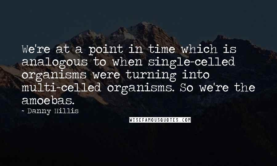 Danny Hillis Quotes: We're at a point in time which is analogous to when single-celled organisms were turning into multi-celled organisms. So we're the amoebas.