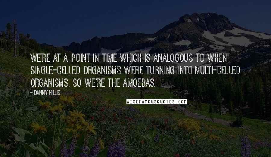 Danny Hillis Quotes: We're at a point in time which is analogous to when single-celled organisms were turning into multi-celled organisms. So we're the amoebas.