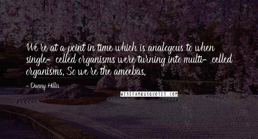 Danny Hillis Quotes: We're at a point in time which is analogous to when single-celled organisms were turning into multi-celled organisms. So we're the amoebas.