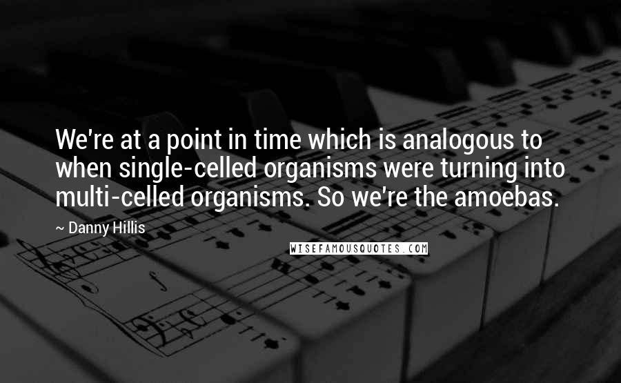 Danny Hillis Quotes: We're at a point in time which is analogous to when single-celled organisms were turning into multi-celled organisms. So we're the amoebas.