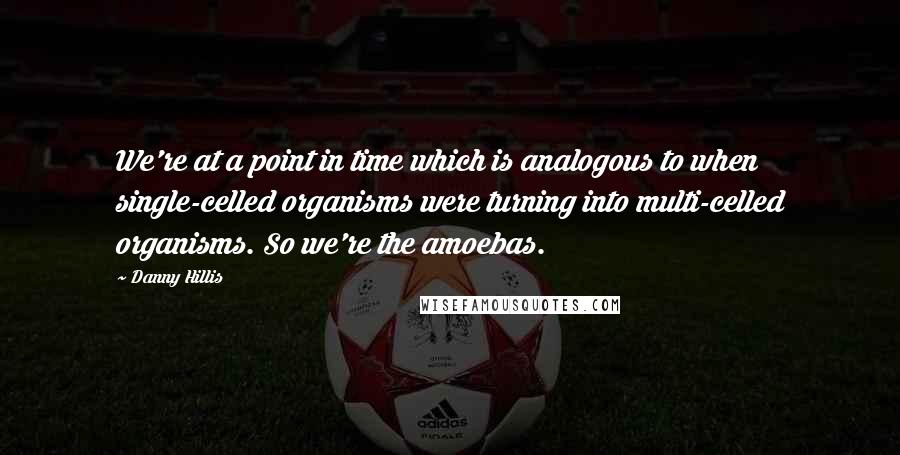 Danny Hillis Quotes: We're at a point in time which is analogous to when single-celled organisms were turning into multi-celled organisms. So we're the amoebas.