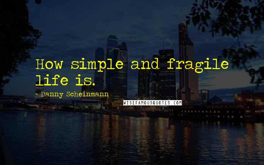 Danny Scheinmann Quotes: How simple and fragile life is.