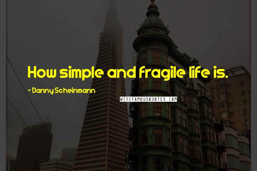 Danny Scheinmann Quotes: How simple and fragile life is.