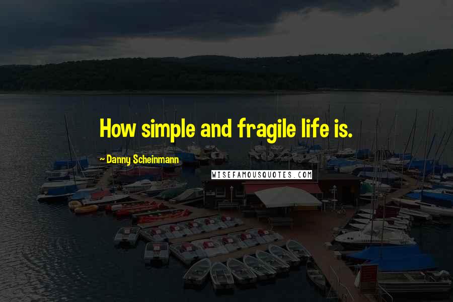 Danny Scheinmann Quotes: How simple and fragile life is.