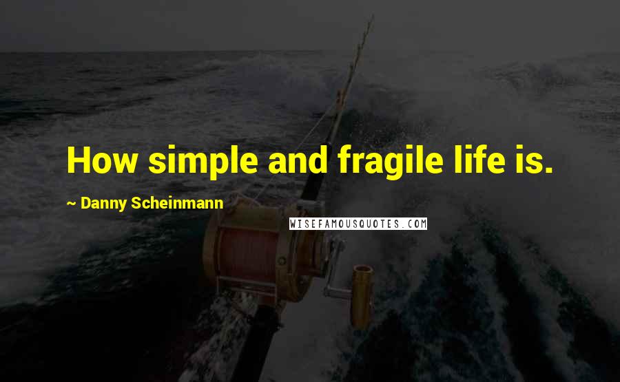 Danny Scheinmann Quotes: How simple and fragile life is.