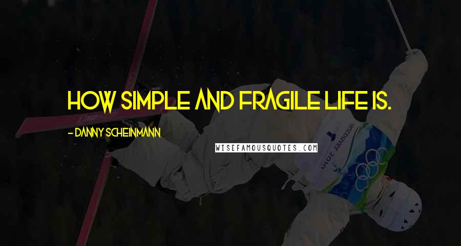 Danny Scheinmann Quotes: How simple and fragile life is.