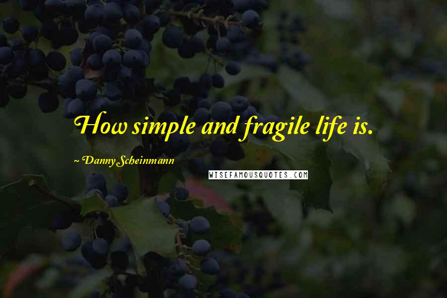 Danny Scheinmann Quotes: How simple and fragile life is.