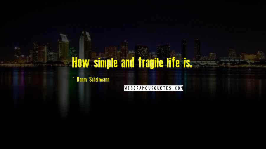 Danny Scheinmann Quotes: How simple and fragile life is.