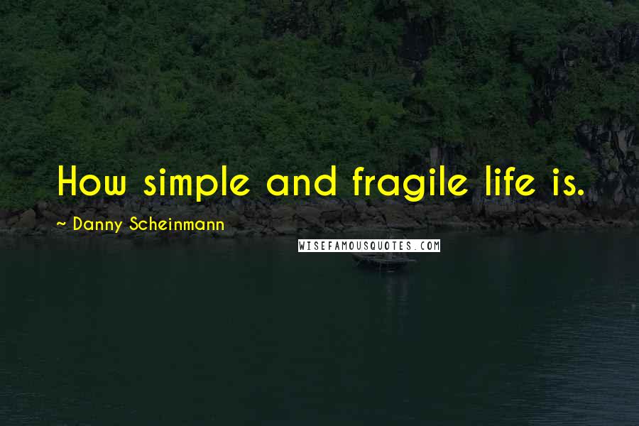 Danny Scheinmann Quotes: How simple and fragile life is.