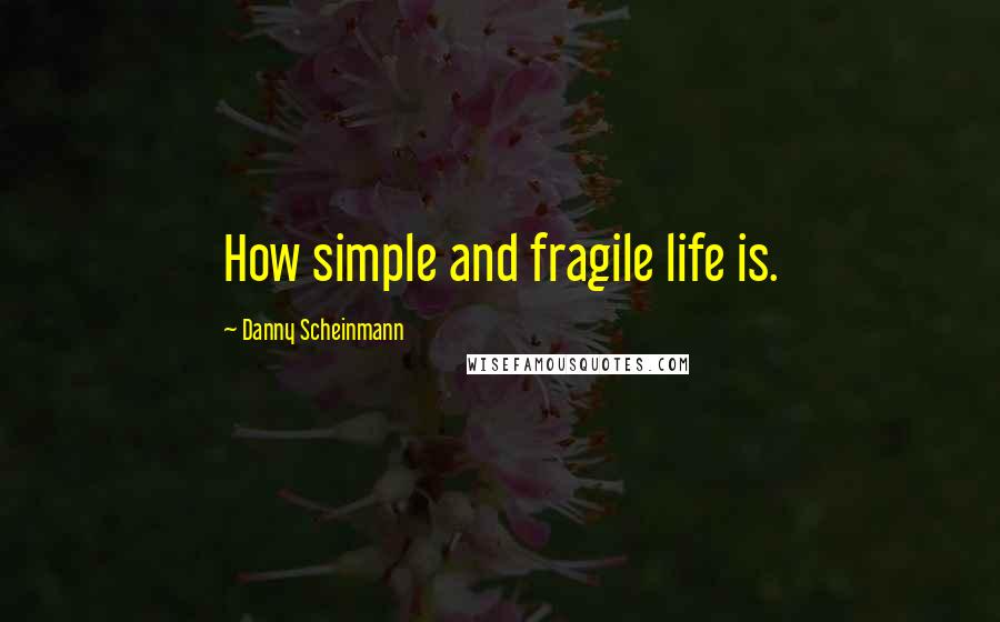 Danny Scheinmann Quotes: How simple and fragile life is.