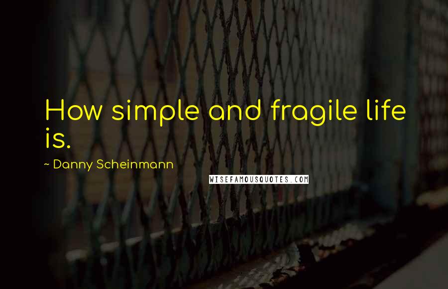 Danny Scheinmann Quotes: How simple and fragile life is.