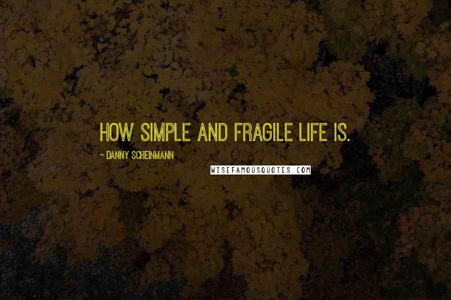 Danny Scheinmann Quotes: How simple and fragile life is.