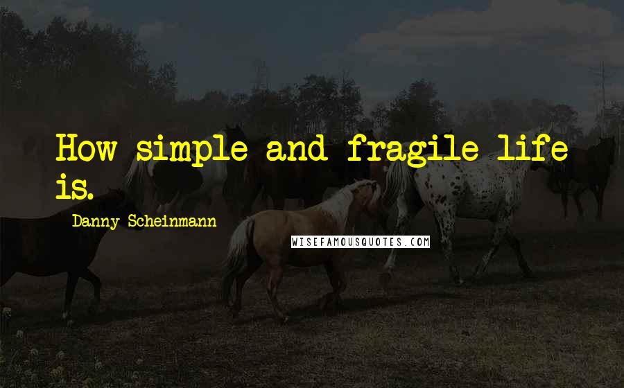 Danny Scheinmann Quotes: How simple and fragile life is.