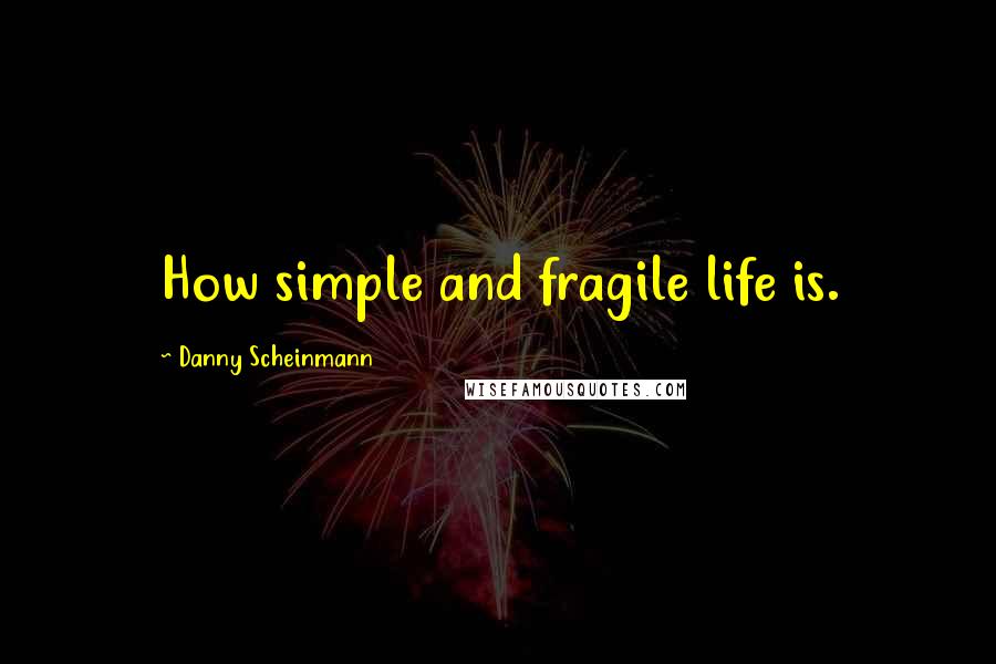 Danny Scheinmann Quotes: How simple and fragile life is.