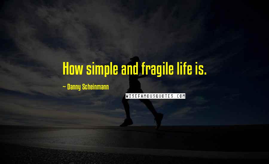 Danny Scheinmann Quotes: How simple and fragile life is.