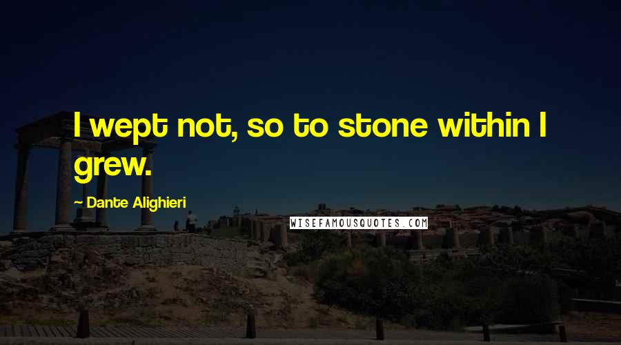 Dante Alighieri Quotes: I wept not, so to stone within I grew.