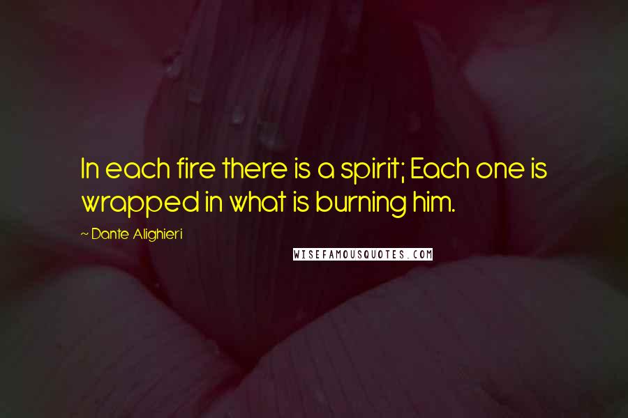 Dante Alighieri Quotes: In each fire there is a spirit; Each one is wrapped in what is burning him.