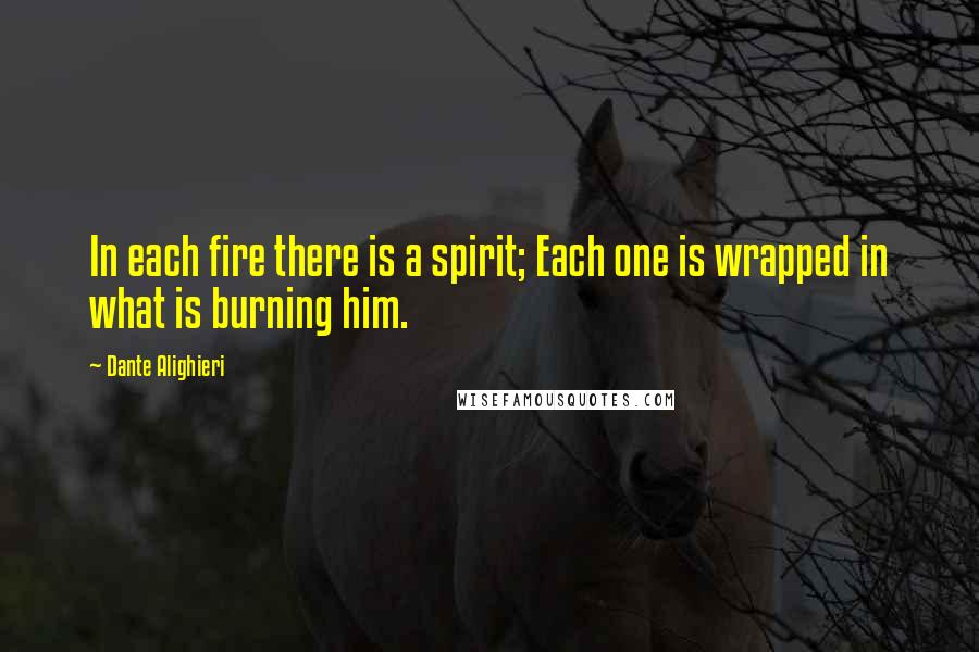 Dante Alighieri Quotes: In each fire there is a spirit; Each one is wrapped in what is burning him.