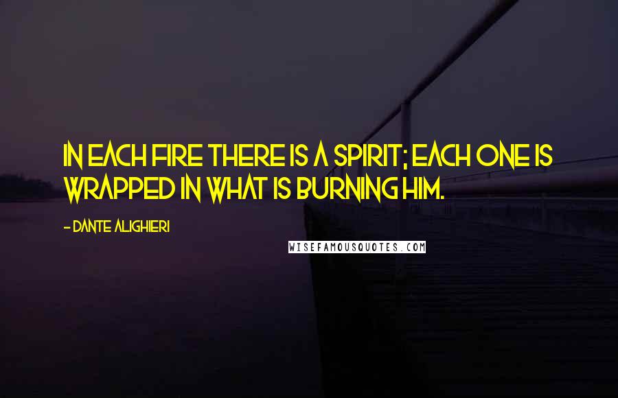 Dante Alighieri Quotes: In each fire there is a spirit; Each one is wrapped in what is burning him.