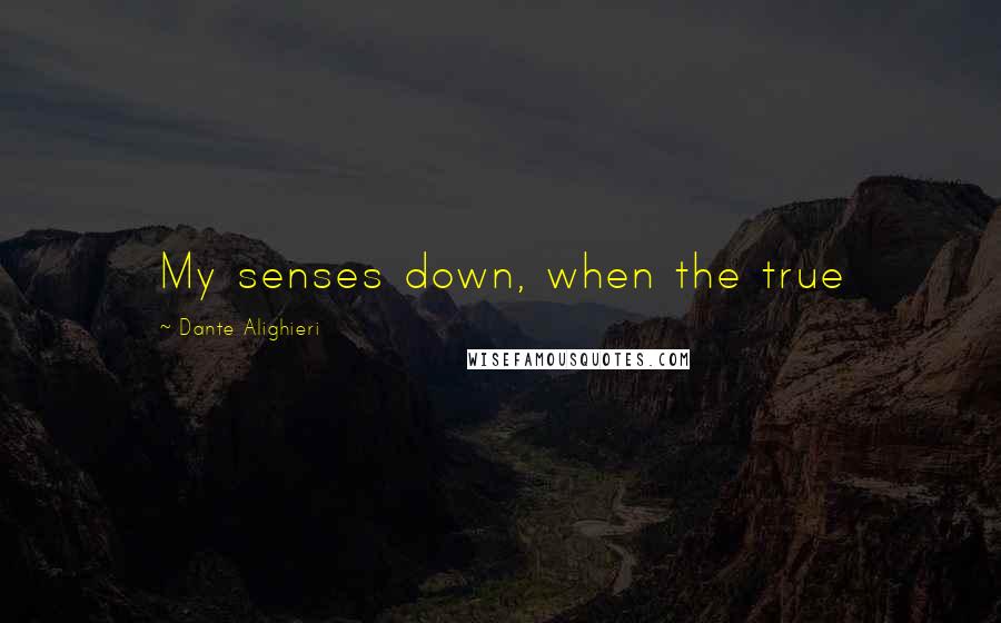 Dante Alighieri Quotes: My senses down, when the true