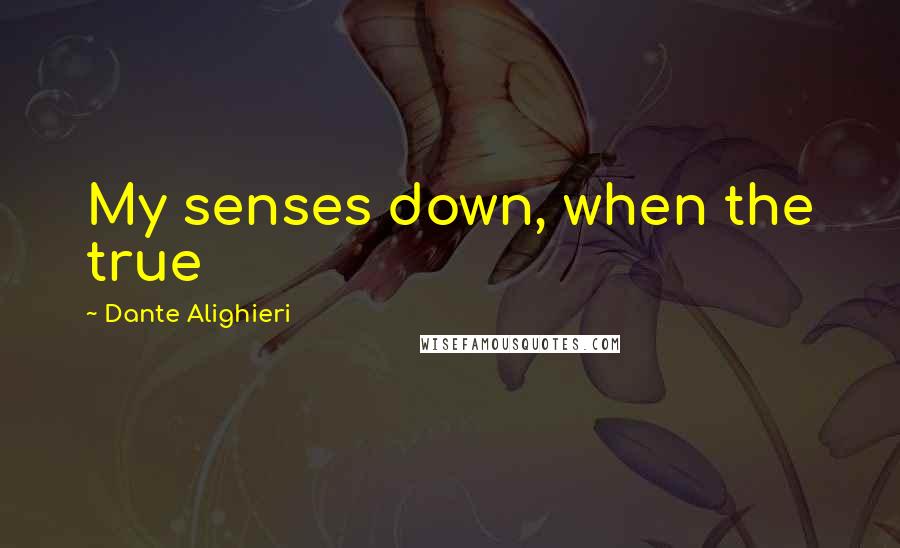 Dante Alighieri Quotes: My senses down, when the true