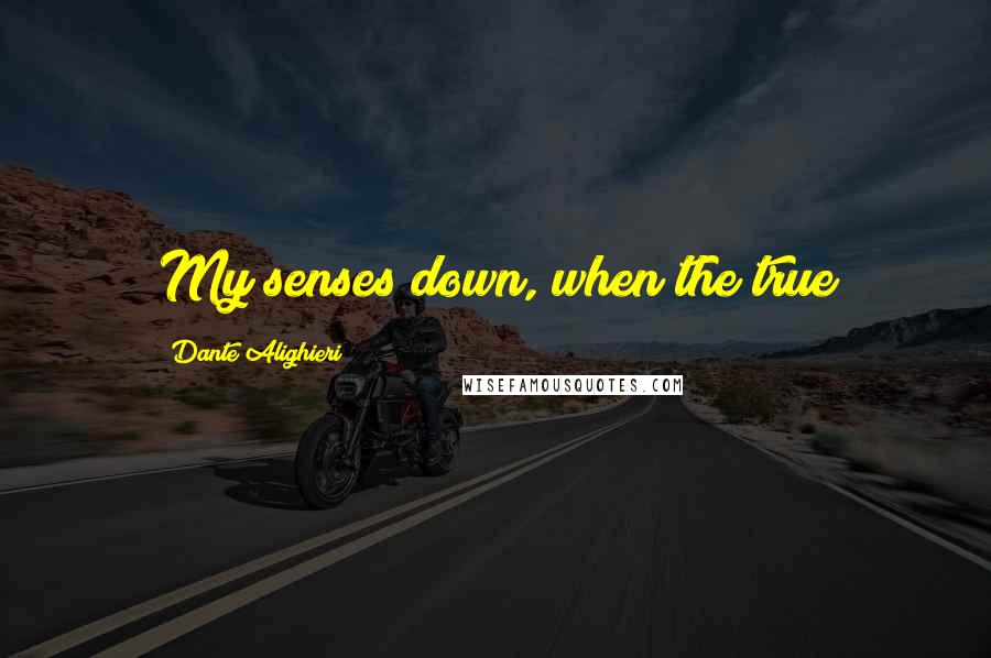 Dante Alighieri Quotes: My senses down, when the true