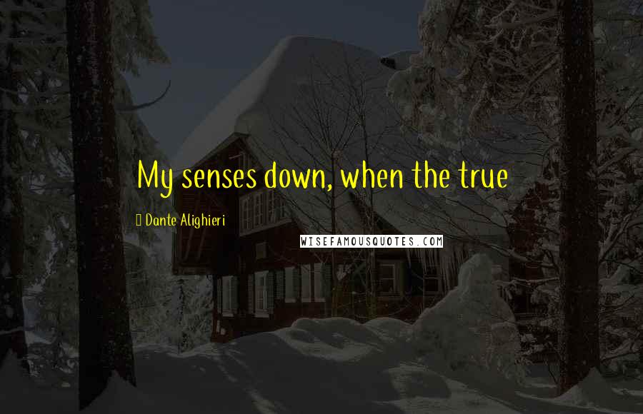 Dante Alighieri Quotes: My senses down, when the true