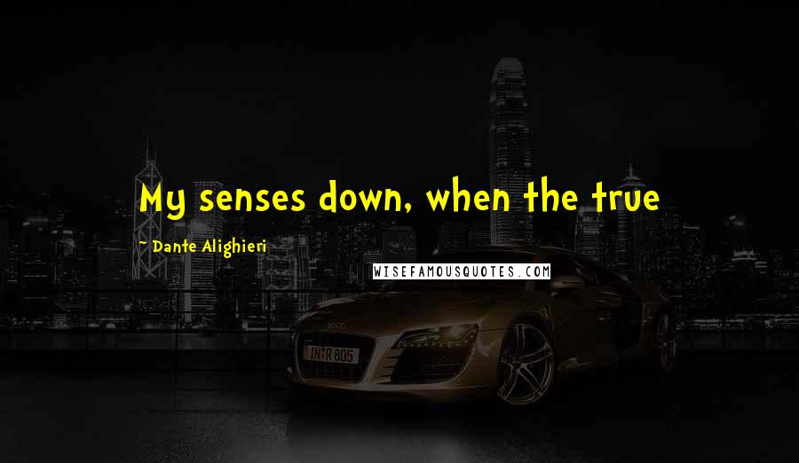 Dante Alighieri Quotes: My senses down, when the true