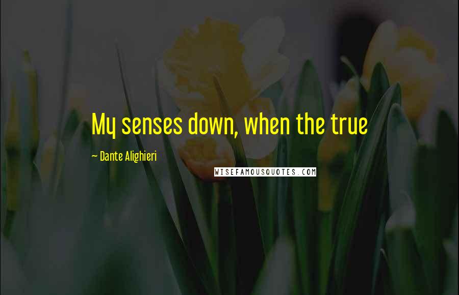 Dante Alighieri Quotes: My senses down, when the true