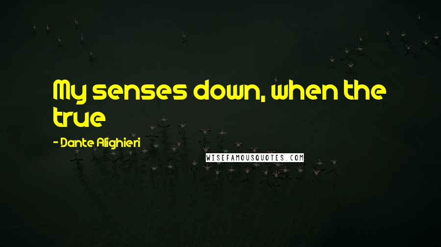 Dante Alighieri Quotes: My senses down, when the true