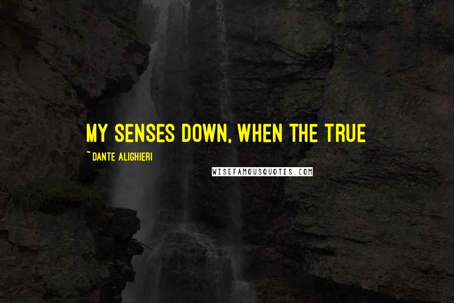 Dante Alighieri Quotes: My senses down, when the true