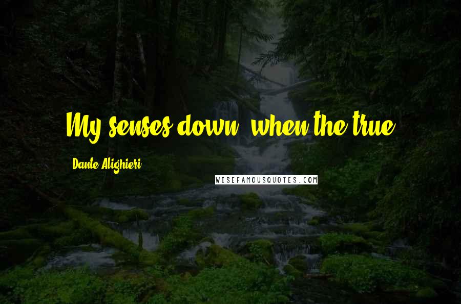 Dante Alighieri Quotes: My senses down, when the true