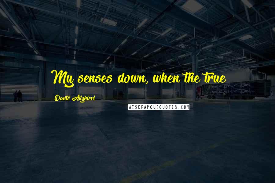 Dante Alighieri Quotes: My senses down, when the true