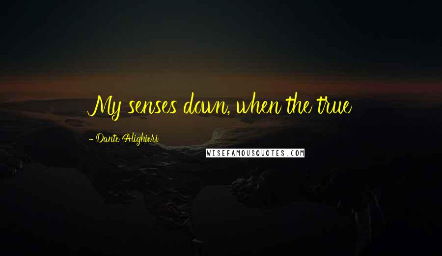 Dante Alighieri Quotes: My senses down, when the true