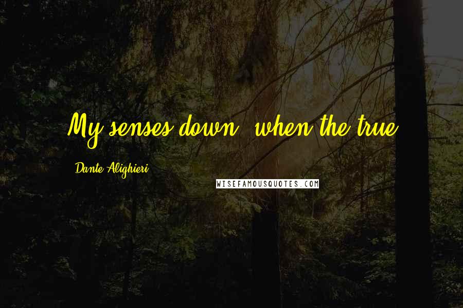 Dante Alighieri Quotes: My senses down, when the true