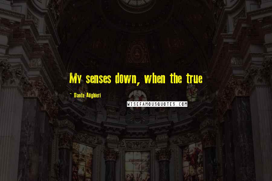 Dante Alighieri Quotes: My senses down, when the true